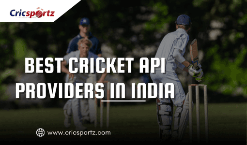 Best Cricket Api Providers In India For Real-Time Scores And Cricket Data Integration
